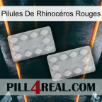 Pilules De Rhinocéros Rouges 17